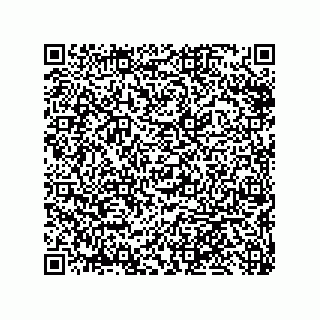 vCard 79633276839