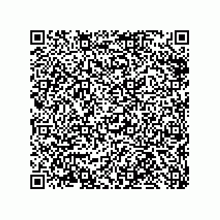 vCard 79633278739