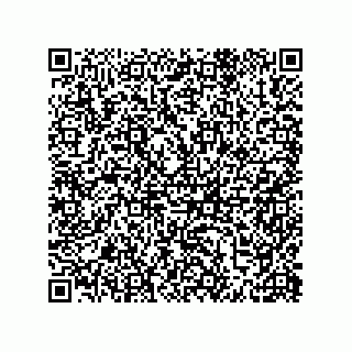 vCard 79633280539