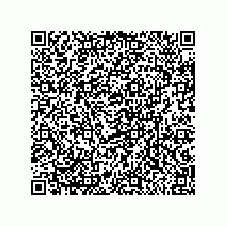 vCard 79633281539