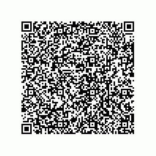 vCard 79633281839