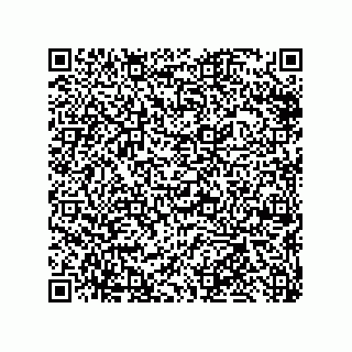 vCard 79633285539