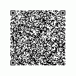vCard 79633290739