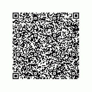 vCard 79633296839
