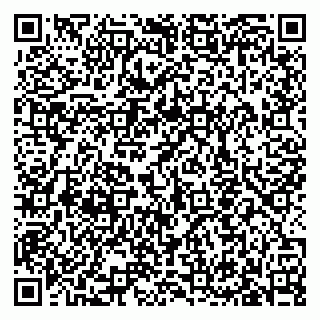 vCard 79633350025