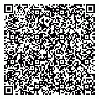vCard 79633350029