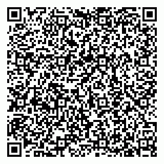 vCard 79633350031