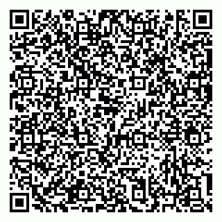 vCard 79633350037