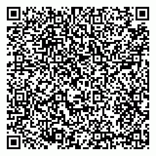 vCard 79633350049