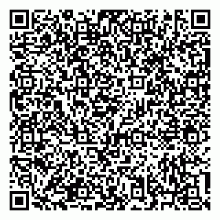 vCard 79633350091