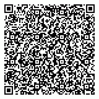 vCard 79633350106