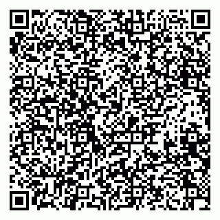 vCard 79633350119