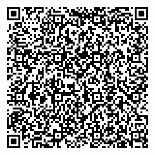 vCard 79633350187