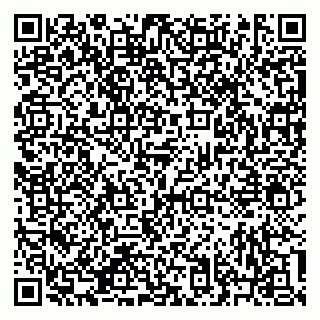 vCard 79633350295