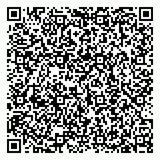 vCard 79633350378