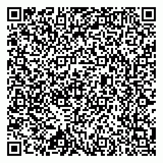 vCard 79633520001