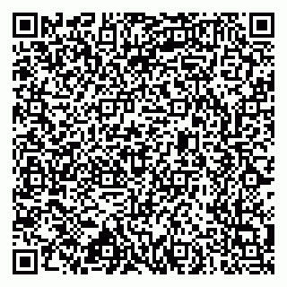 vCard 79633520002