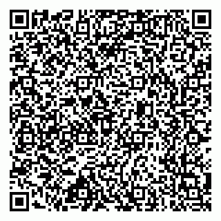 vCard 79633520003