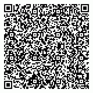 vCard 79633520010