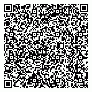 vCard 79633520049