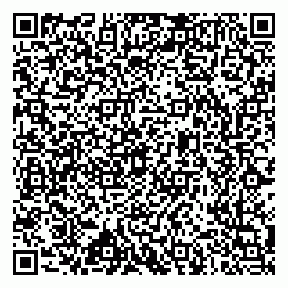 vCard 79633520080