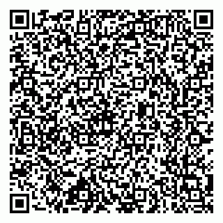 vCard 79633520093
