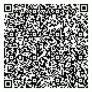 vCard 79633520099