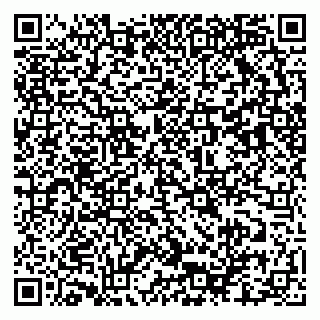 vCard 79633520197