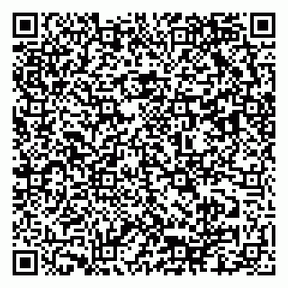 vCard 79633520205