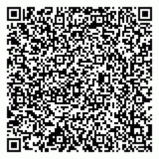 vCard 79633520295