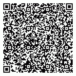vCard 79633520297