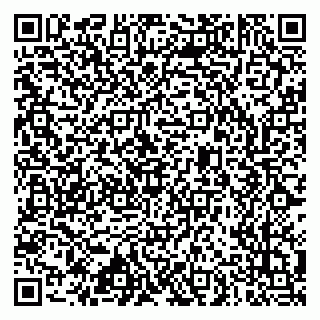 vCard 79633520307