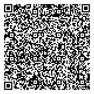 vCard 79633520329