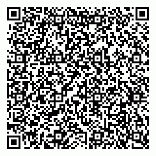 vCard 79633520332