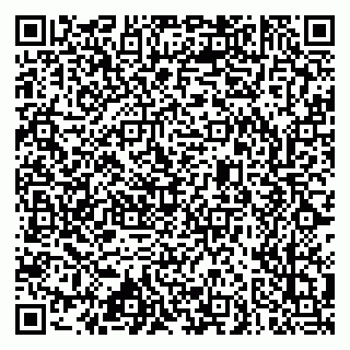 vCard 79633520338