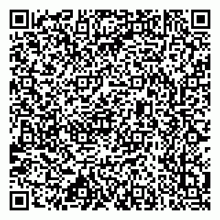 vCard 79633520370