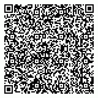 vCard 79633520371