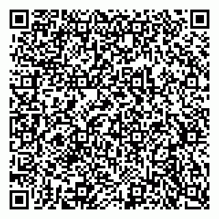 vCard 79633520377