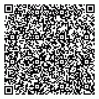 vCard 79633520378