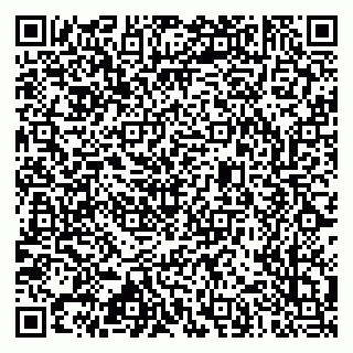 vCard 79633520384