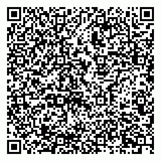 vCard 79633520387