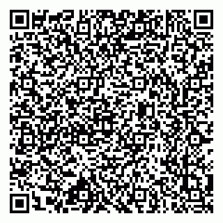 vCard 79633520399