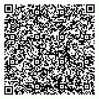 vCard 79635001299