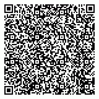 vCard 79635010173