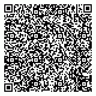 vCard 79635012539
