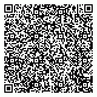 vCard 79635097039
