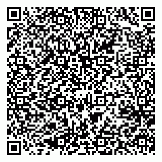 vCard 79637093265