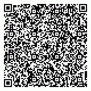 vCard 79637295939