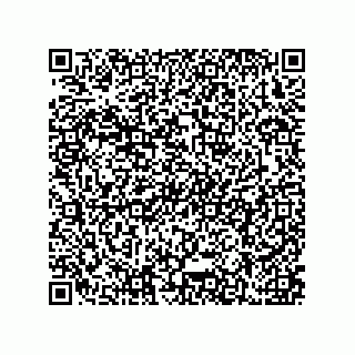 vCard 79637370009