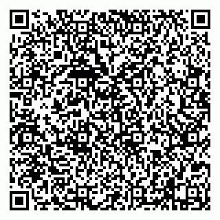 vCard 79638002073